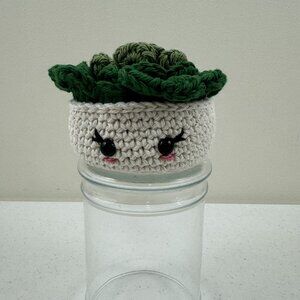 Handmade Crochet Houseplant Succulent Plant Pot And Coasters Set